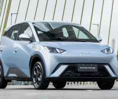 BYD DOLPHIN MINI usado