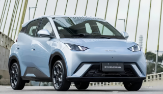 BYD DOLPHIN MINI usado
