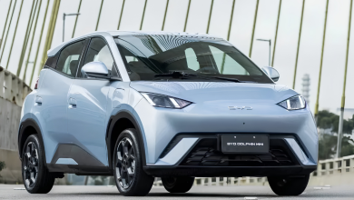 BYD DOLPHIN MINI usado