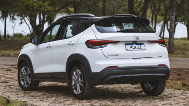 Fiat Pulse 2022 usado