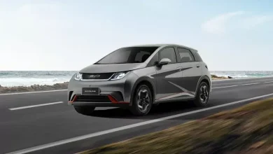 byd-dolphin 2025 (1)